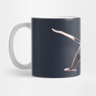 possum king Mug